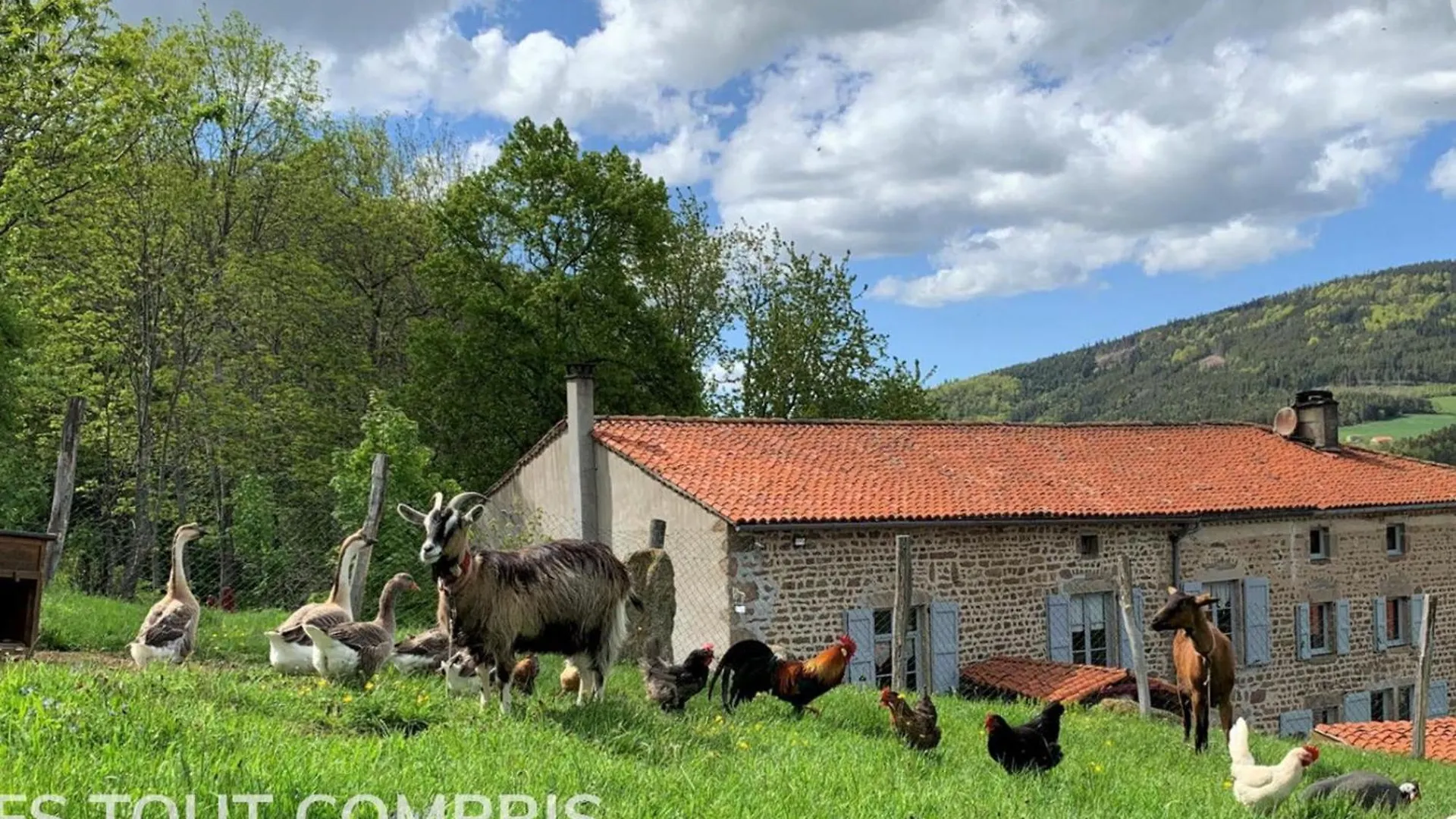 Holiday home Gite Chaleureux Avec Cheminee, Espace Jeux Et Animaux, Proche Nature Et Activites Familiales - Fr-1-496-315 Sauvain